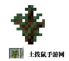 我的世界树苗种植方法是什么 我的世界树苗有什么用处