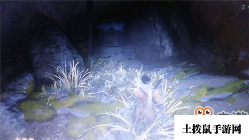 只狼无首的位置在哪里？