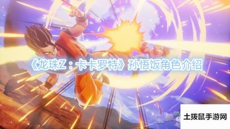 《龙珠Z：卡卡罗特》孙悟饭角色介绍