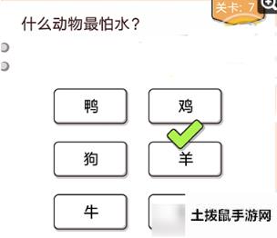 我不是猪头第7关怎么做 我不是猪头第7题攻略