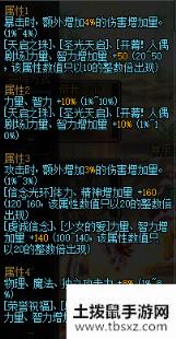 《DNF》伽内什的永恒庇护介绍