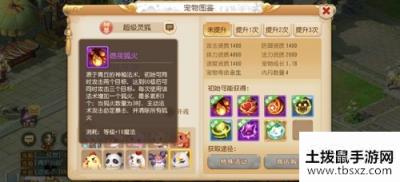 百变神宠，如一相伴，《梦幻西游》手游神兽转换上线
