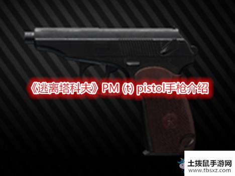 《逃离塔科夫》PM (t) pistol手枪介绍