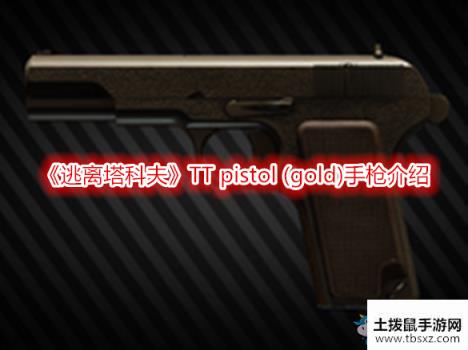 《逃离塔科夫》TT pistol (gold)手枪介绍