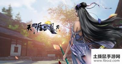 《天涯明月刀》手游真武石头选择攻略