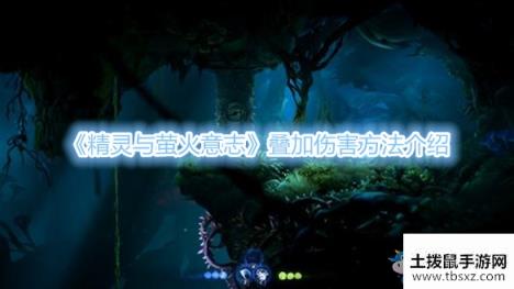 《精灵与萤火意志》叠加伤害方法介绍