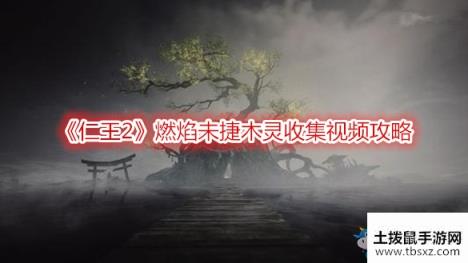《仁王2》燃焰未捷木灵收集视频攻略