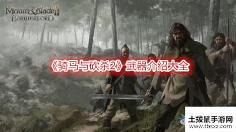 《骑马与砍杀2》武器介绍大全