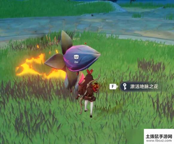 原神无相之雷击杀方法介绍 原神无相之雷击杀阵容搭配