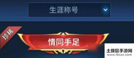 王者荣耀情同手足称号如何获得 王者荣耀情同手足称号获取方法介绍