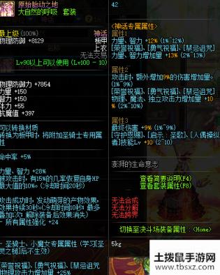 DNF100级极诣流浪武士SS防具选择推荐