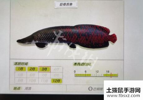 土拨鼠手游网