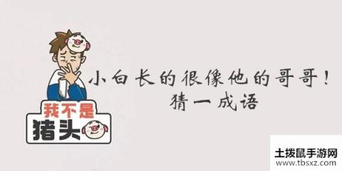 我不是猪头第168答案