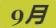 《集合啦！动物森友会》吴郭鱼图鉴