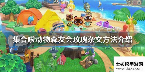 土拨鼠手游网