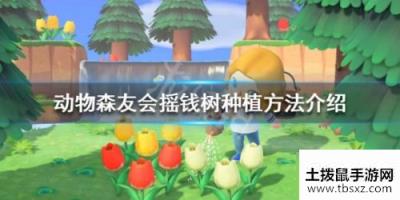 动物森友会摇钱树种植攻略