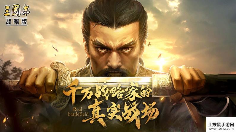 三国志战略版S3赛季袁绍碰瓷队阵容怎么搭配-S3赛季袁绍碰瓷队阵容搭配攻略