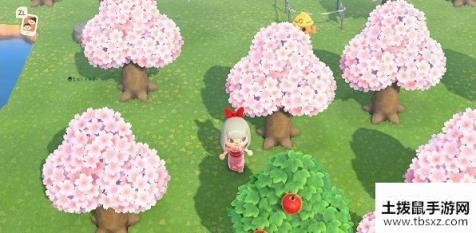 动物之森樱花花瓣怎么得?樱花花瓣怎么拿？[视频][图]