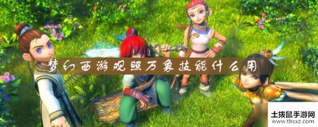 梦幻西游观照万象技能什么用