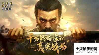 三国志战略版徐庶阵容搭配攻略
