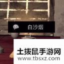 《孙美琪疑案-王爱国》白沙烟线索获得
