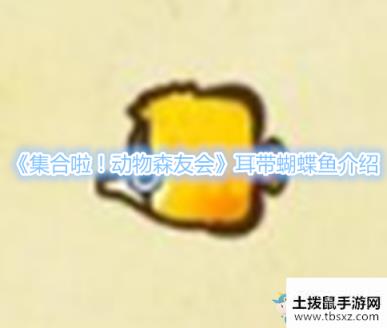 《集合啦！动物森友会》耳带蝴蝶鱼介绍