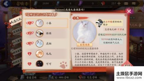 阴阳师守护契约宠物怎么选?