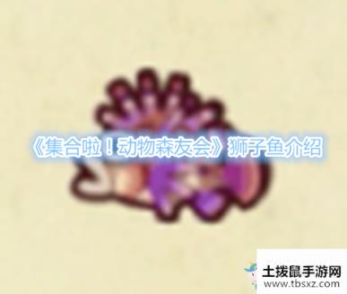《集合啦！动物森友会》狮子鱼介绍