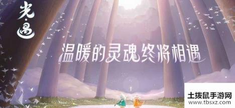 sky光遇vivo运行失败是什么原因 vivo运行失败怎么办