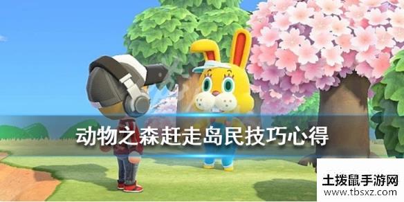土拨鼠手游网