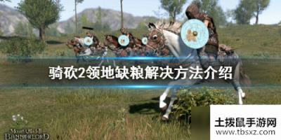 骑马与砍杀2领地缺粮怎么办?