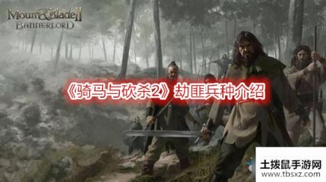 骑马与砍杀2劫匪兵种介绍-骑马与砍杀2劫匪兵种详情一览