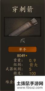 《骑马与砍杀2》阿塞莱精锐射手装备一览 实战强度分析