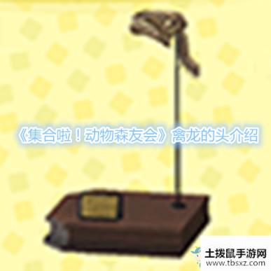《集合啦！动物森友会》禽龙的头介绍