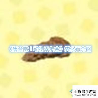 《集合啦！动物森友会》粪化石介绍