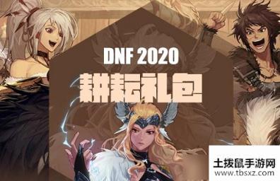 dnf2020年51套多少钱