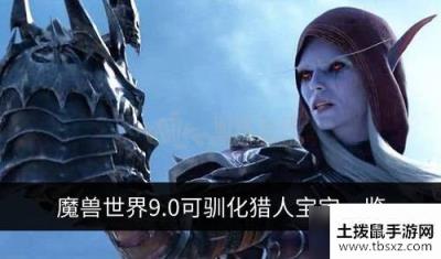 魔兽世界9.0猎人宝宝有哪些 可驯化猎人宝宝一览