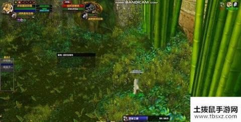 魔兽世界怀旧服猎人单刷祖尔格拉布鳄鱼攻略