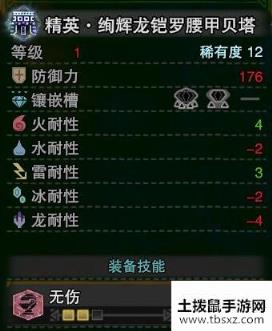 《怪物猎人：世界》冰原M位绚辉龙腰部装备介绍