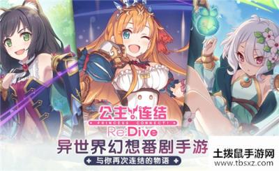 公主连结母猪石是什么 公主连结女神石详细介绍