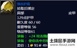 《魔兽世界怀旧服》强击护肩属性介绍