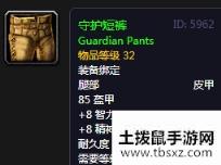 《魔兽世界怀旧服》守护短裤介绍