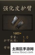 《骑马与砍杀2》斯特吉亚精锐亲卫骑兵装备一览 实战强度分析