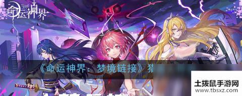 《命运神界：梦境链接》猎魇人阵容搭配推荐