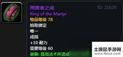 《魔兽世界》怀旧服第五阶段萨满毕业装备大全