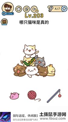 脑洞大大大哪只猫咪是真的攻略