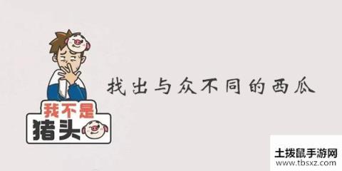 我不是猪头第261关答案