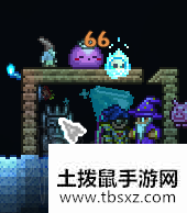 土拨鼠手游网
