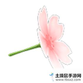 《集合啦！动物森友会》樱花雨伞介绍