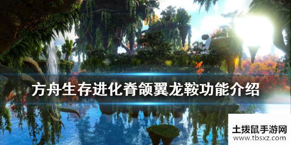 土拨鼠手游网